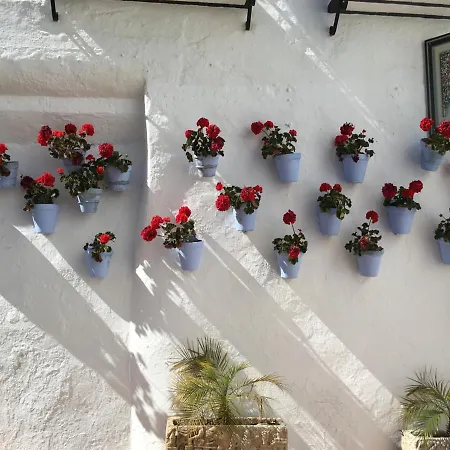 Apartment Paris Dream - Torremolinos